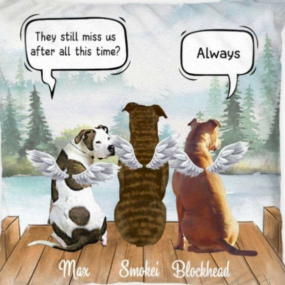 Meet your Posher, Fender - Picture 1 of 1